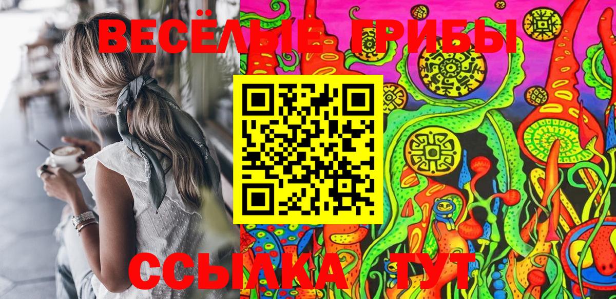 Псилоцибиновые грибы MAGIC MUSHROOMS  купить наркотики цена  Алексин 